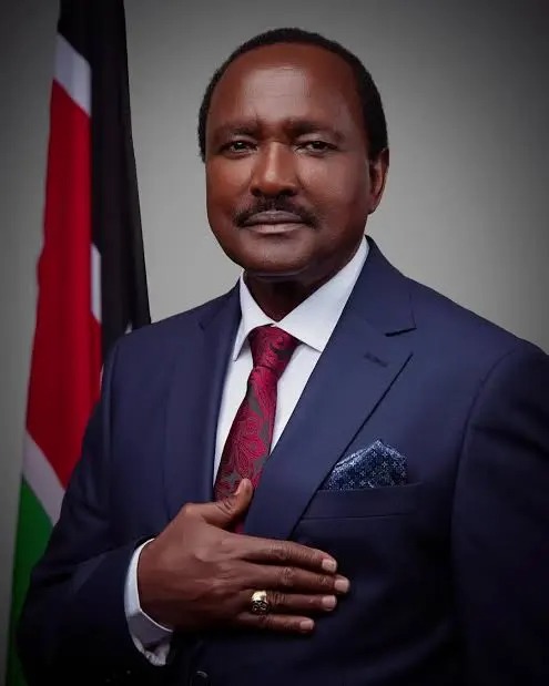 Wiper’s Kalonzo Musyoka accuses Ruto of mishandling foreign trader crackdown