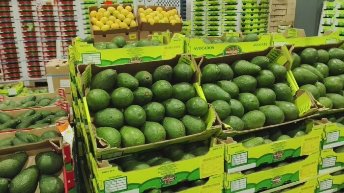 East Africa Horticulture Sector to Tackle Trade and Logistics Barriers