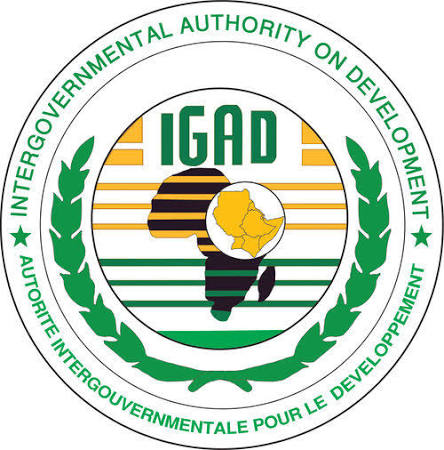  IGAD Calls for Immediate De-Escalation as Tensions Escalate in Northern Ethiopia
