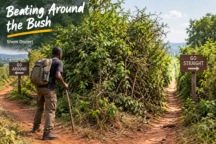POETIC TURN: Beating Around the Bush