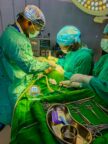 Nyakach Maternal Referrals Drop as Pap Onditi Expands Services