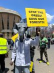 Kenyans pile pressure on government to save forests