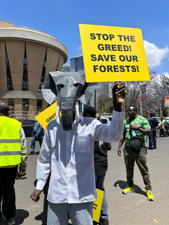 Kenyans pile pressure on government to save forests