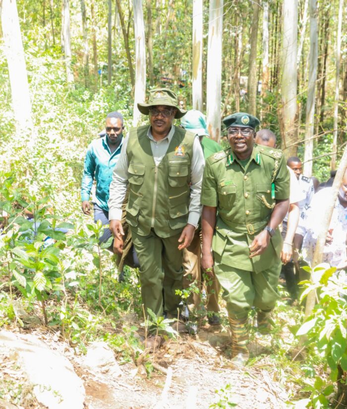 Ogamba eyes carbon credit earnings to fund education
