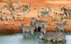Kenya Launches $160 Million Conservation Programme in Tsavo