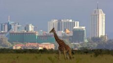 Nairobi Declaration calls for global action to rebuild public trust