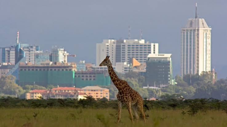 Nairobi Declaration calls for global action to rebuild public trust
