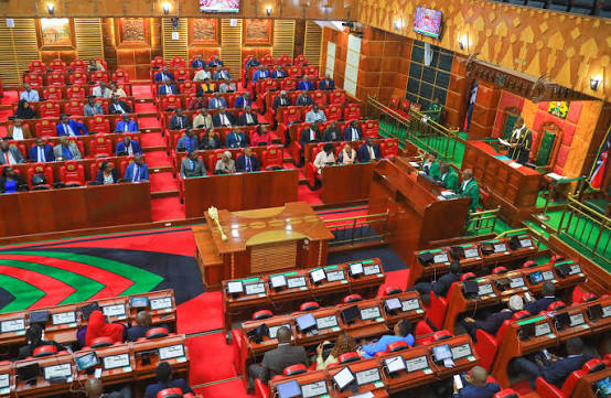 National Assembly dismisses claims MPs scrapped election results livestreaming
