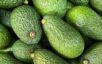 Kenya closes avocado sea export season from October 30