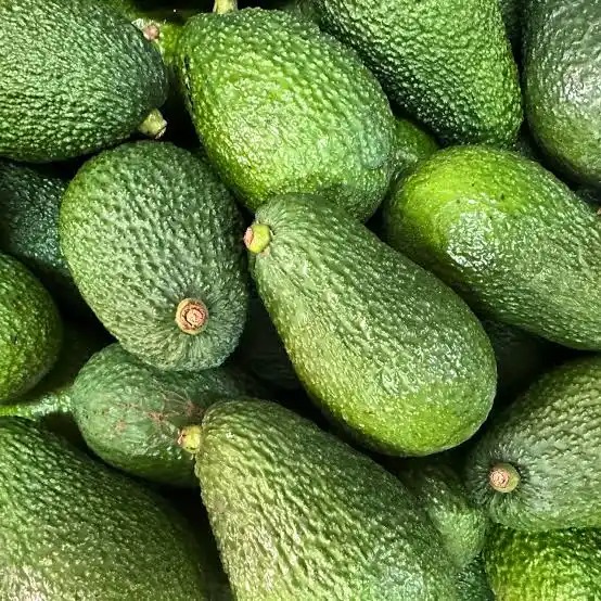 Kenya closes avocado sea export season from October 30